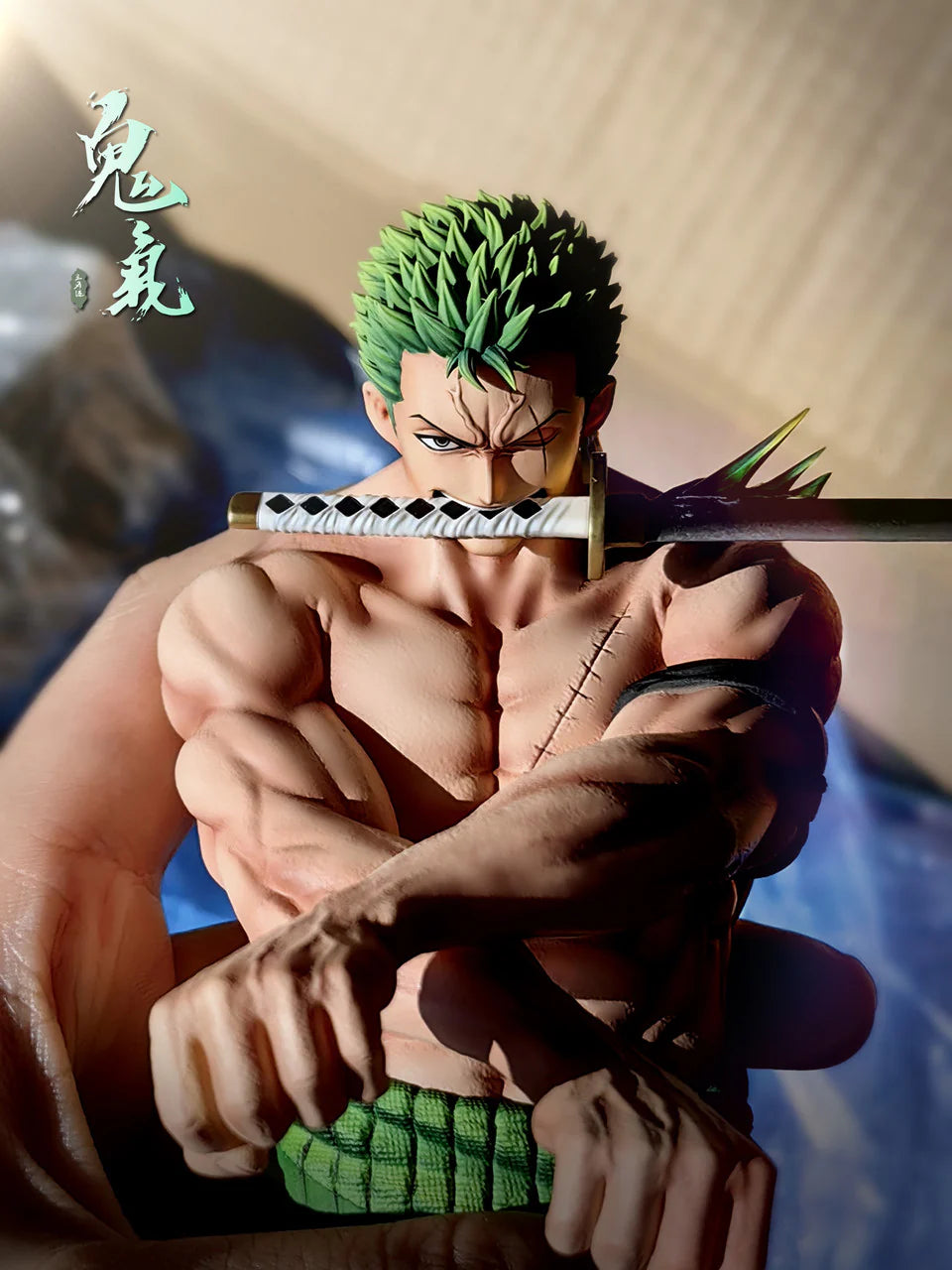 TH - Zoro