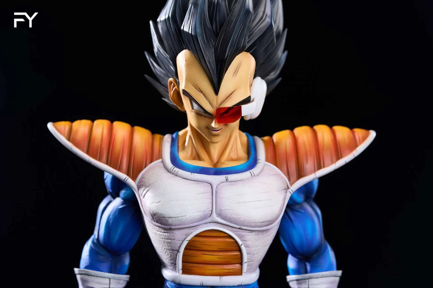 FY - Vegeta