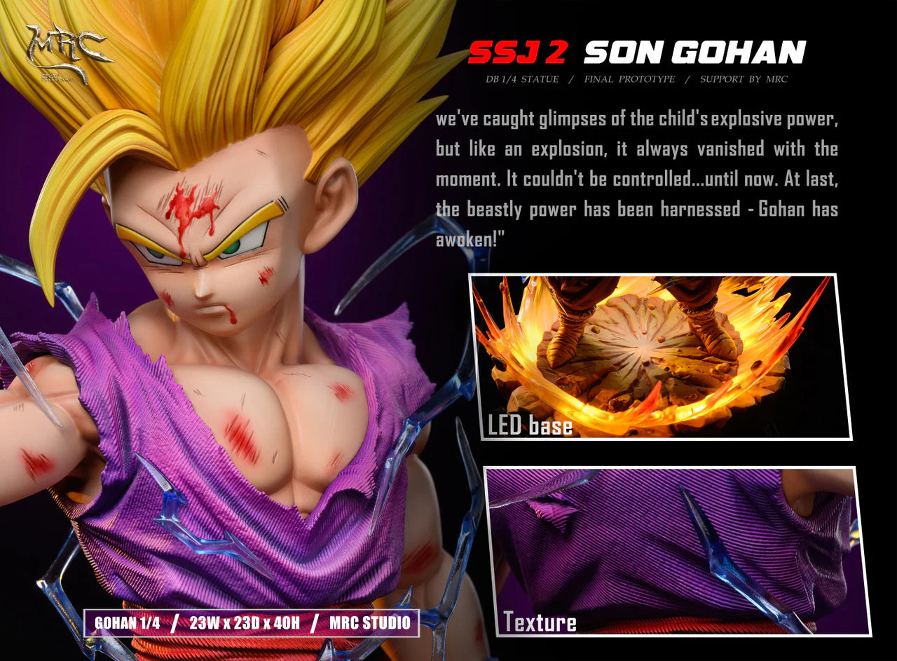 MRC - SSJ2 Gohan