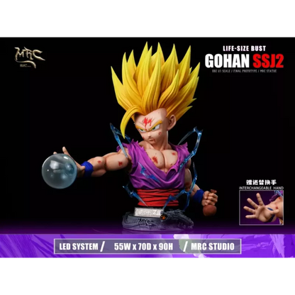 MRC Studio SSJ2 Gohan V2 Resin Statue