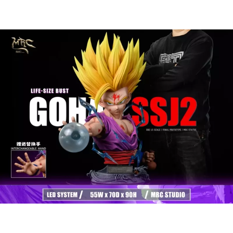 MRC Studio SSJ2 Gohan V2 Resin Statue