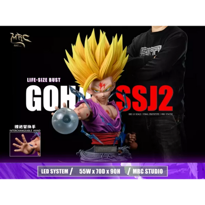 MRC Studio SSJ2 Gohan V2 Resin Statue