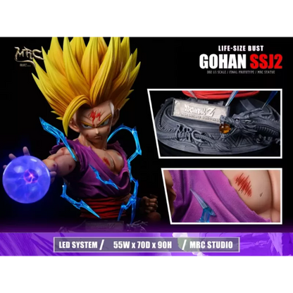 MRC Studio SSJ2 Gohan V2 Resin Statue